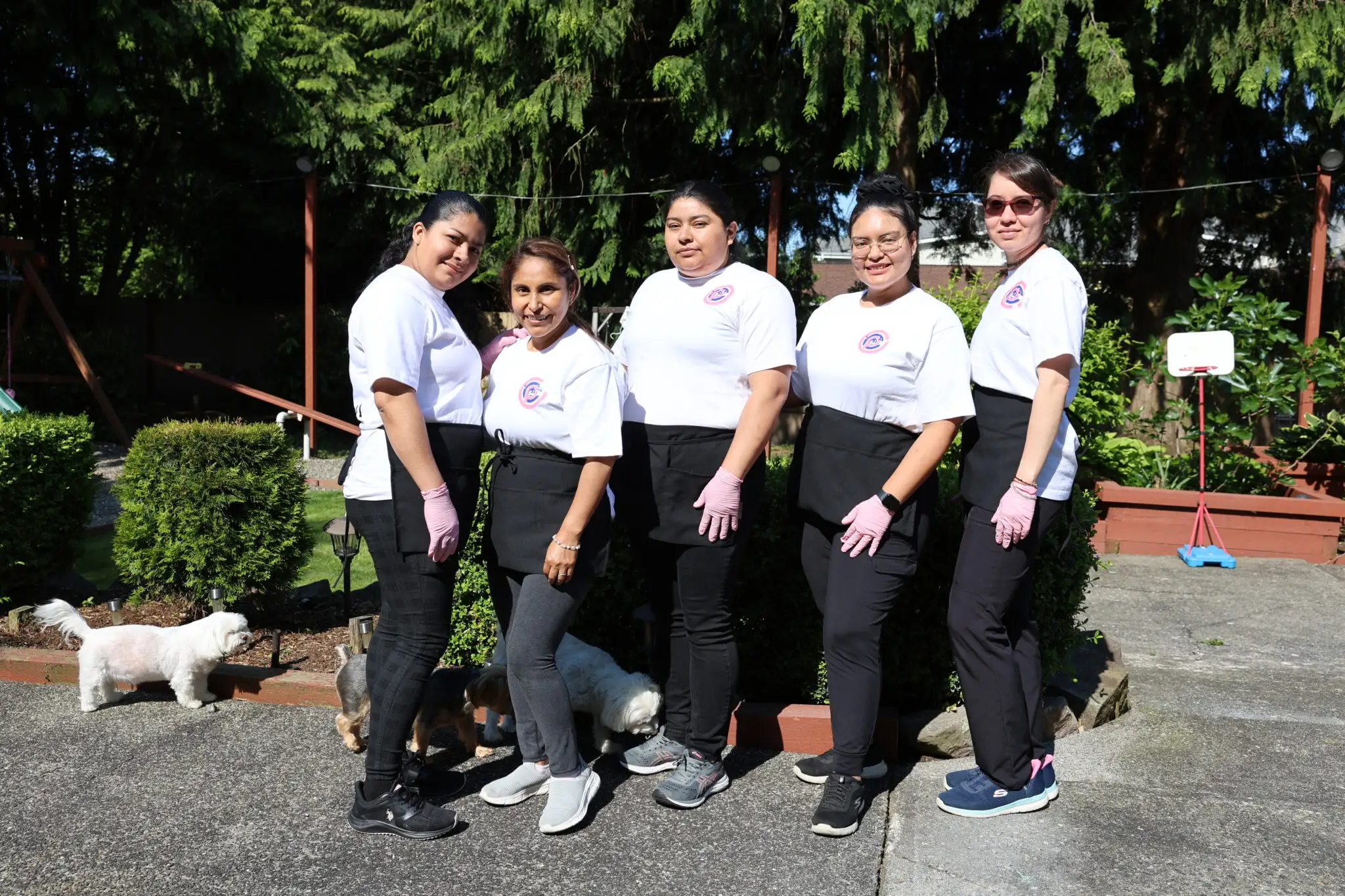 The Cleaning Paradise team